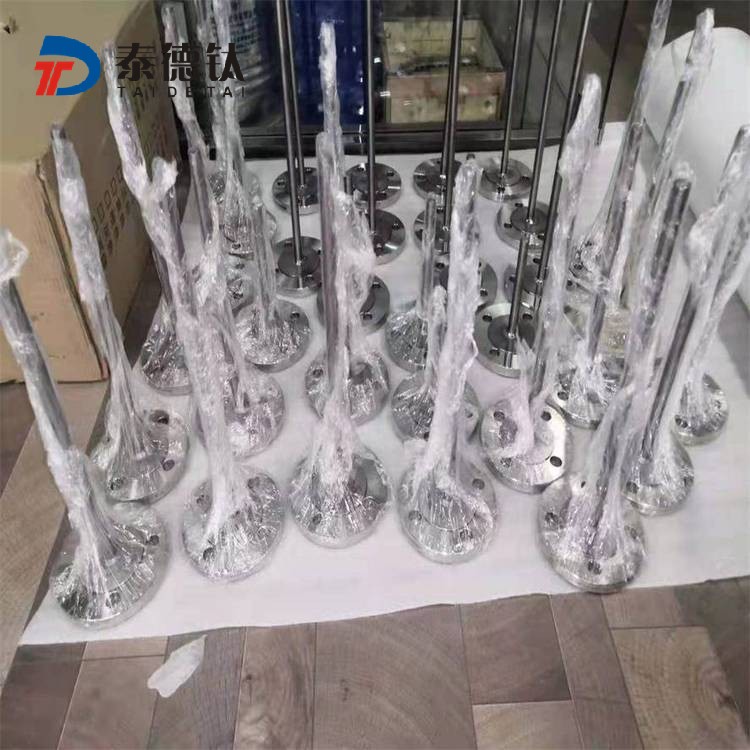 鉭保護管